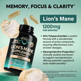 NUTRAHARMONY polvo de Lion's Mane mostrando textura fina y aspecto orgánico