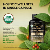 NUTRAHARMONY polvo de raíz mostrando textura y pureza orgánica
