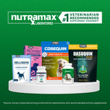 Nutramax Cobalequin en escenario casa administración sencilla y rutinaria