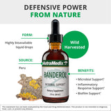 NutraMedix etiqueta del producto con ingredientes y origen amazónico