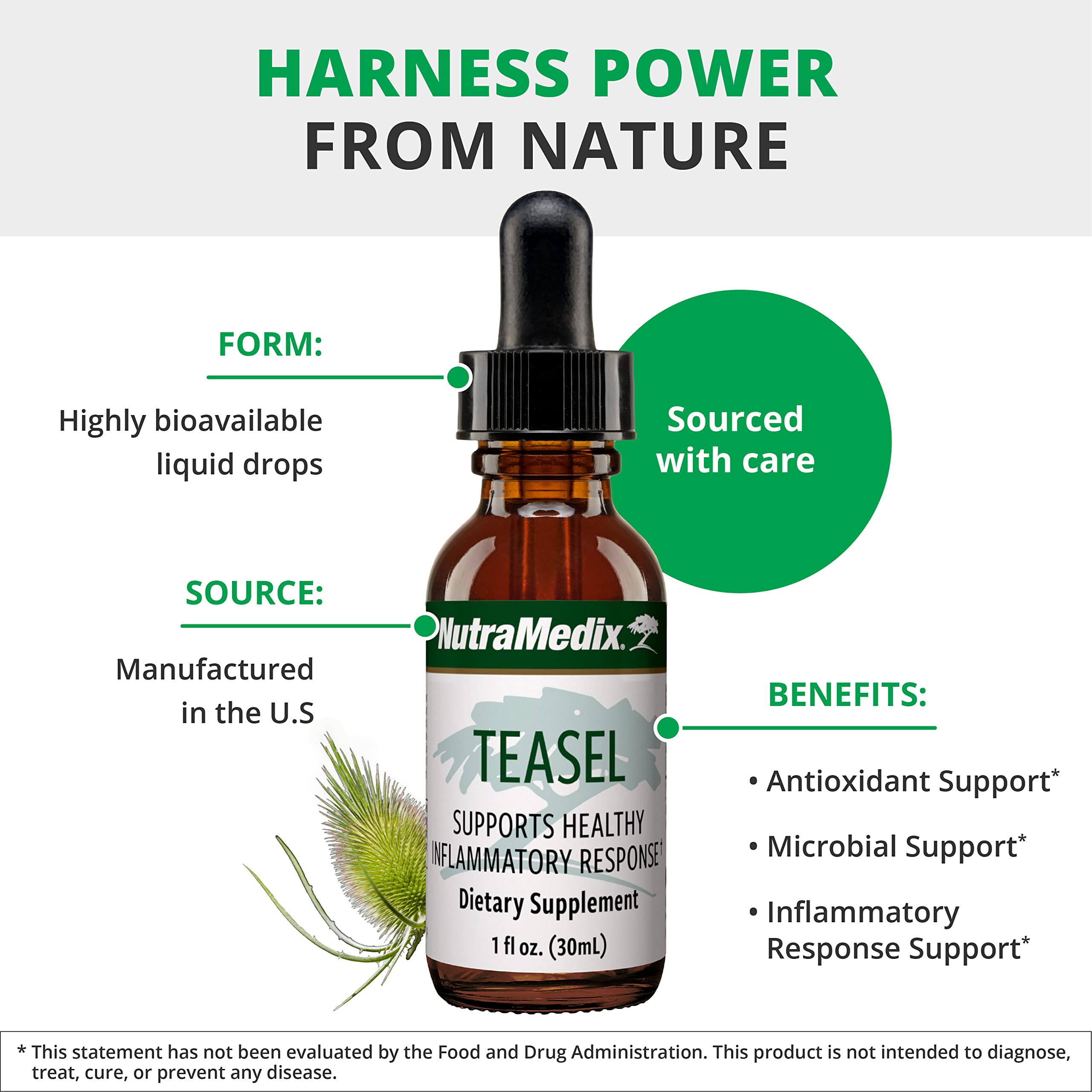 NutraMedix raíz de Teasel cruda para evidenciar origen botánico natural