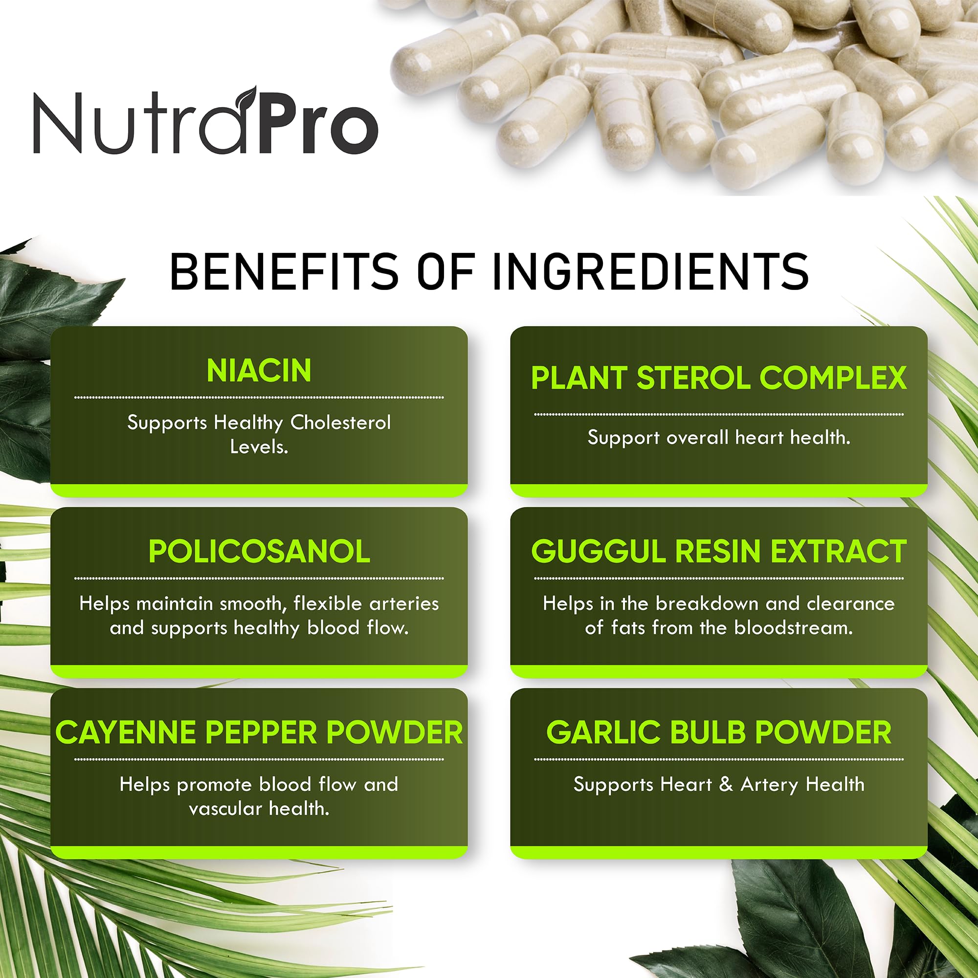 NutraPro cápsulas junto a ajo para resaltar ingredientes naturales