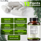 NutraPro botella junto a una mano para comparar tamaño y dosis diaria