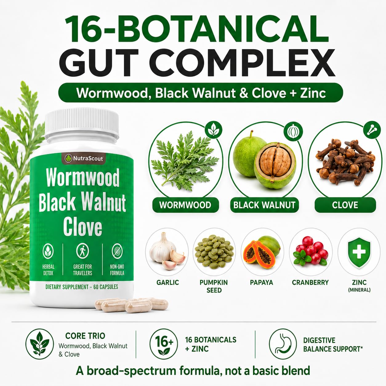 NutraScout detalle del polvo y textura de ingredientes botánicos naturales