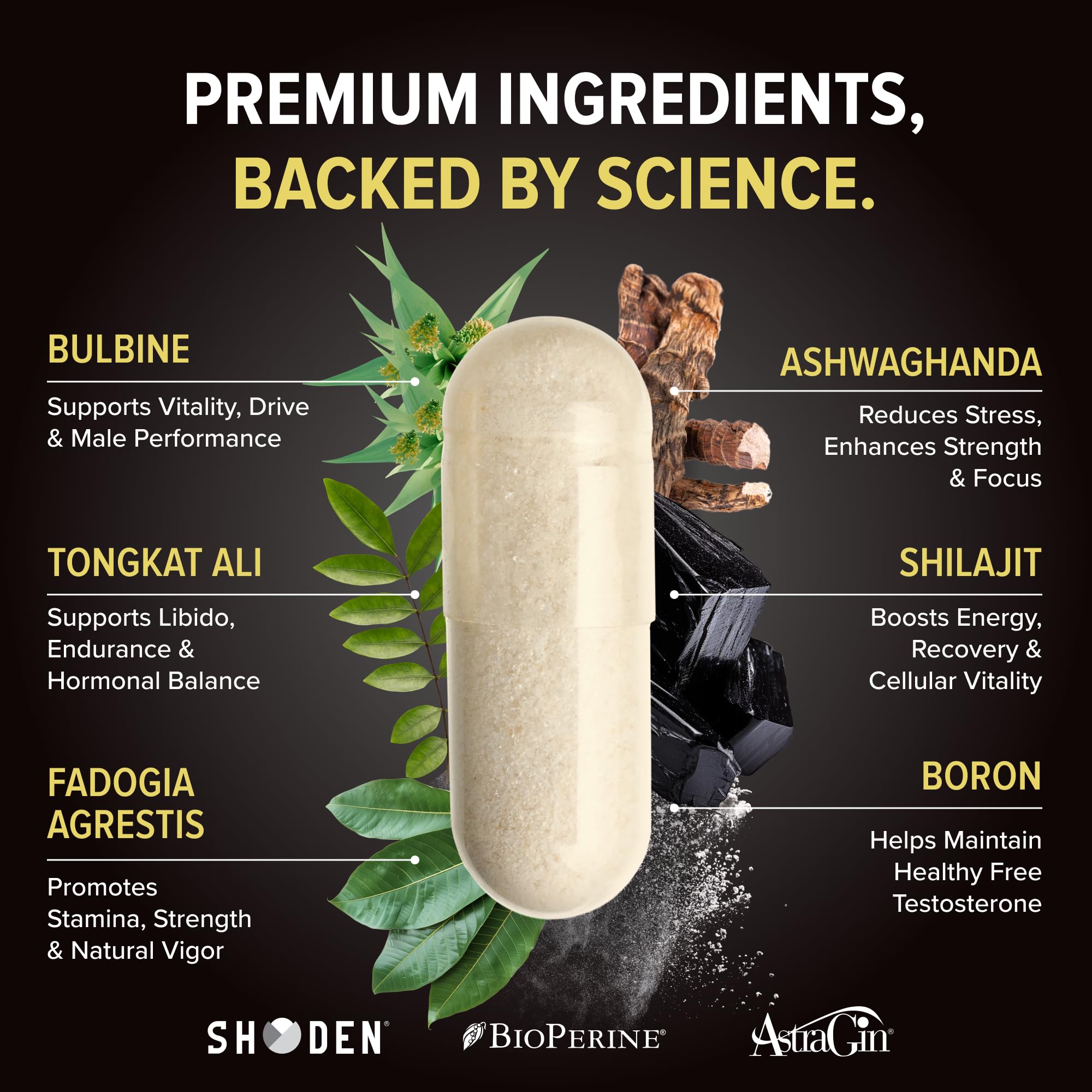 Nutrex Alpha-T etiqueta con ingredientes clave para transparencia informativa