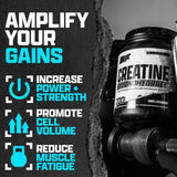 Nutrex Research creatina etiqueta nutricional enfocada, transparencia en ingredientes
