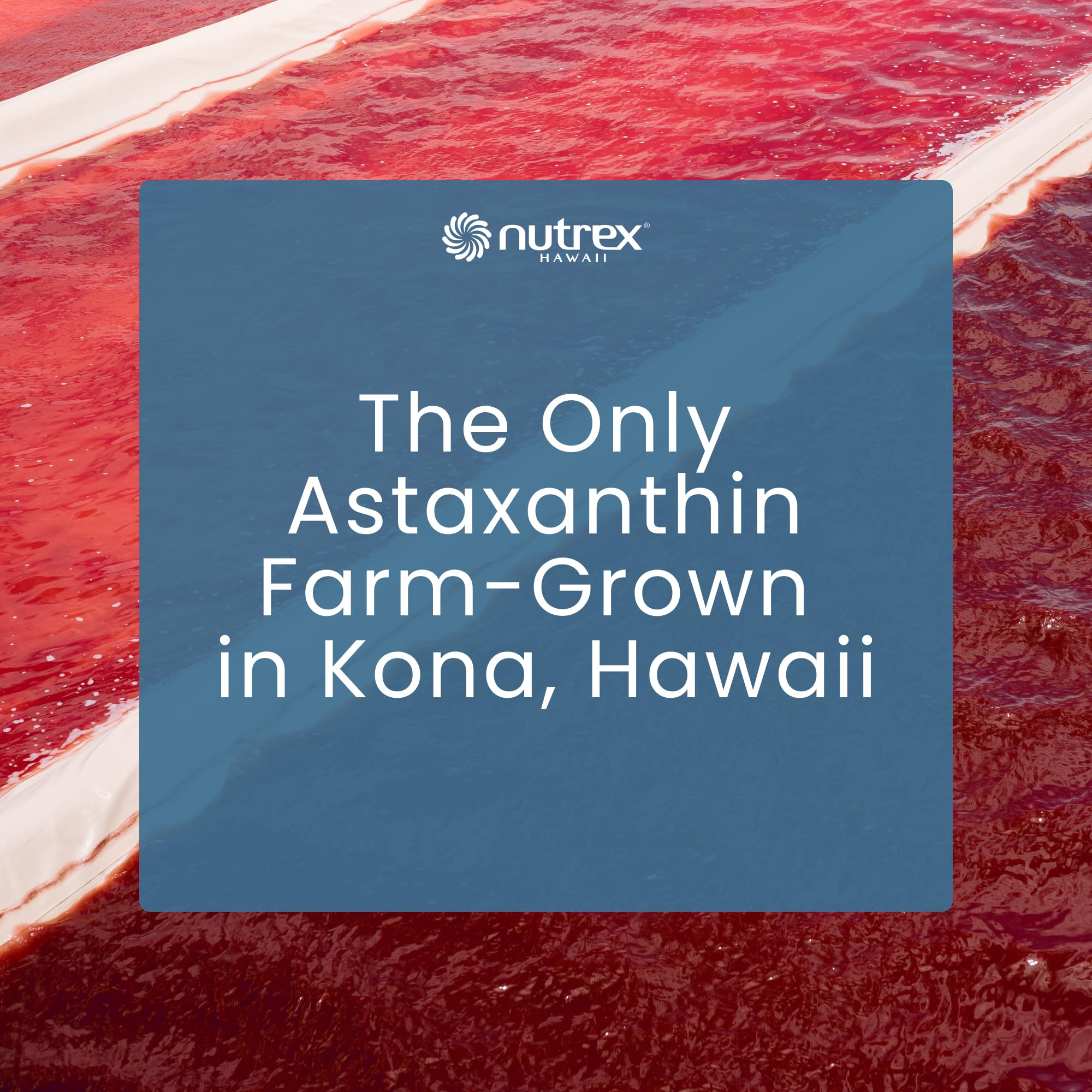 Nutrex Hawaii lifestyle en playa ilustrando bienestar y naturaleza