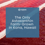 Nutrex Hawaii lifestyle en playa ilustrando bienestar y naturaleza