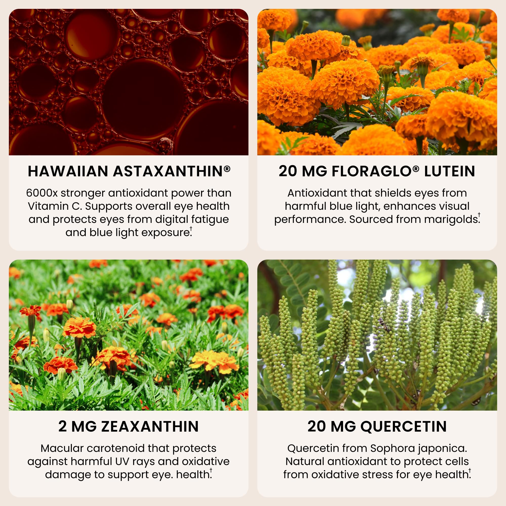 Nutrex Hawaii ingredientes activos destacando astaxantina luteína zeaxantina