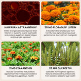 Nutrex Hawaii ingredientes activos destacando astaxantina luteína zeaxantina