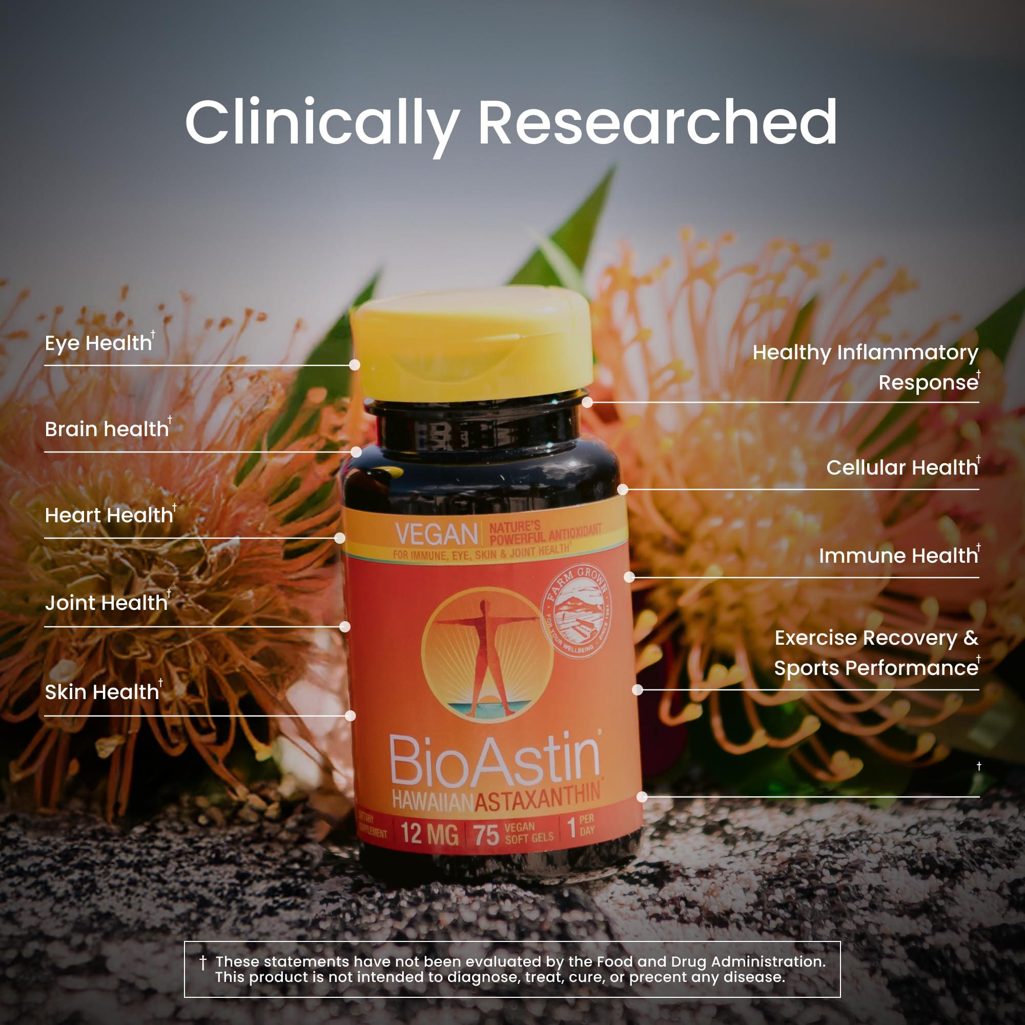 Nutrex Hawaii microalga Haematococcus pluvialis representante del origen natural