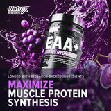 Nutrex Research polvo en primer plano que revela textura fina y solubilidad rápida