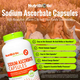 NutriBiotic cápsula detalle de textura, resaltando absorción y facilidad de trago