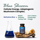 Nutricel Blue Shroom cápsula en mano para comparar tamaño, facilita dosificación clara y cómoda