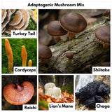 Nutricel Blue Shroom etiqueta nutricional y certificado, transparencia de ingredientes y pruebas