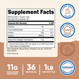 Nutricost cuchara dosificadora sobre polvo para medidas precisas y uso diario fácil