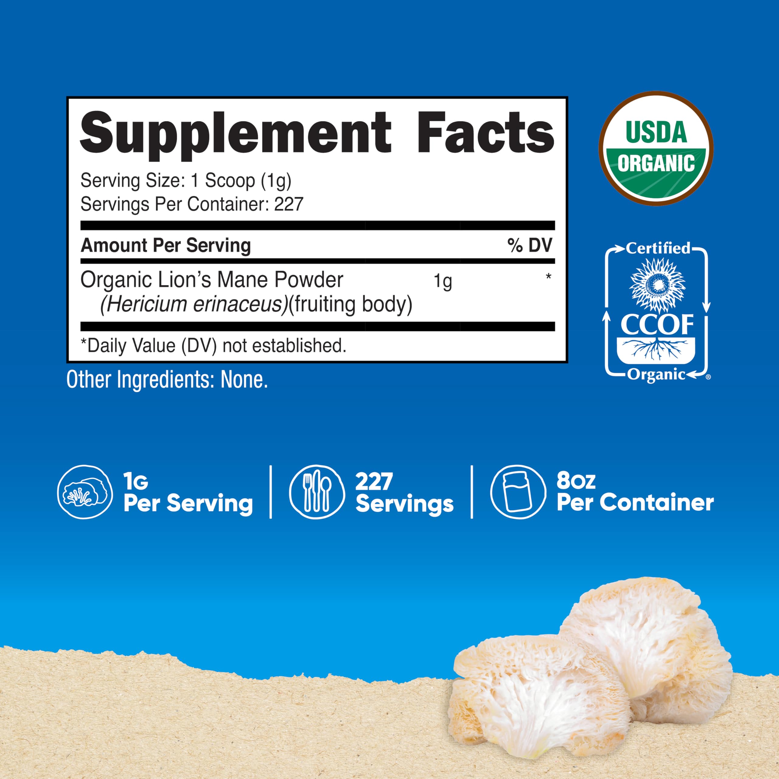 Nutricost polvo textura cercana que destaca pureza y aspecto fino del producto