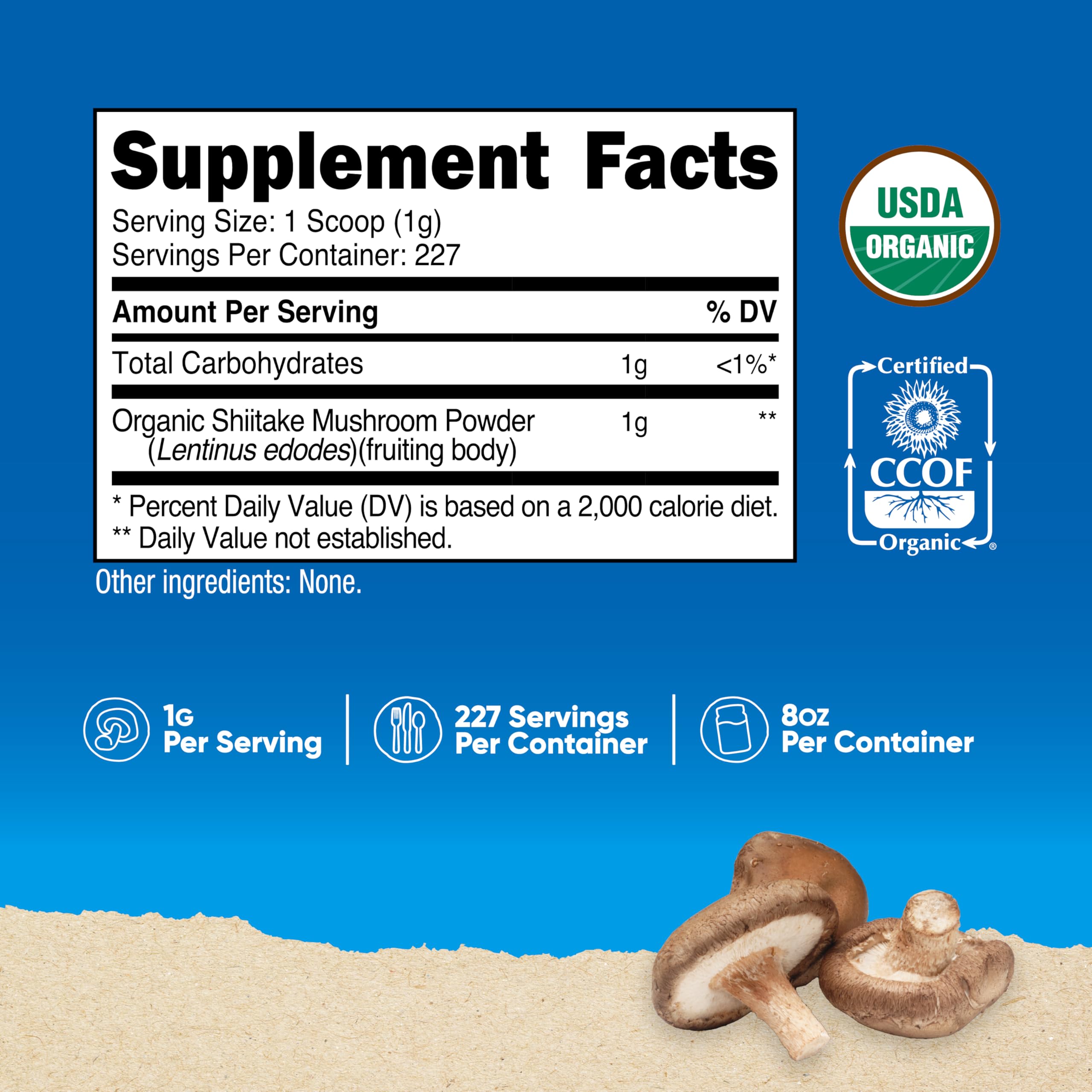 Nutricost textura de polvo de shiitake en primer plano para mezclar fácilmente