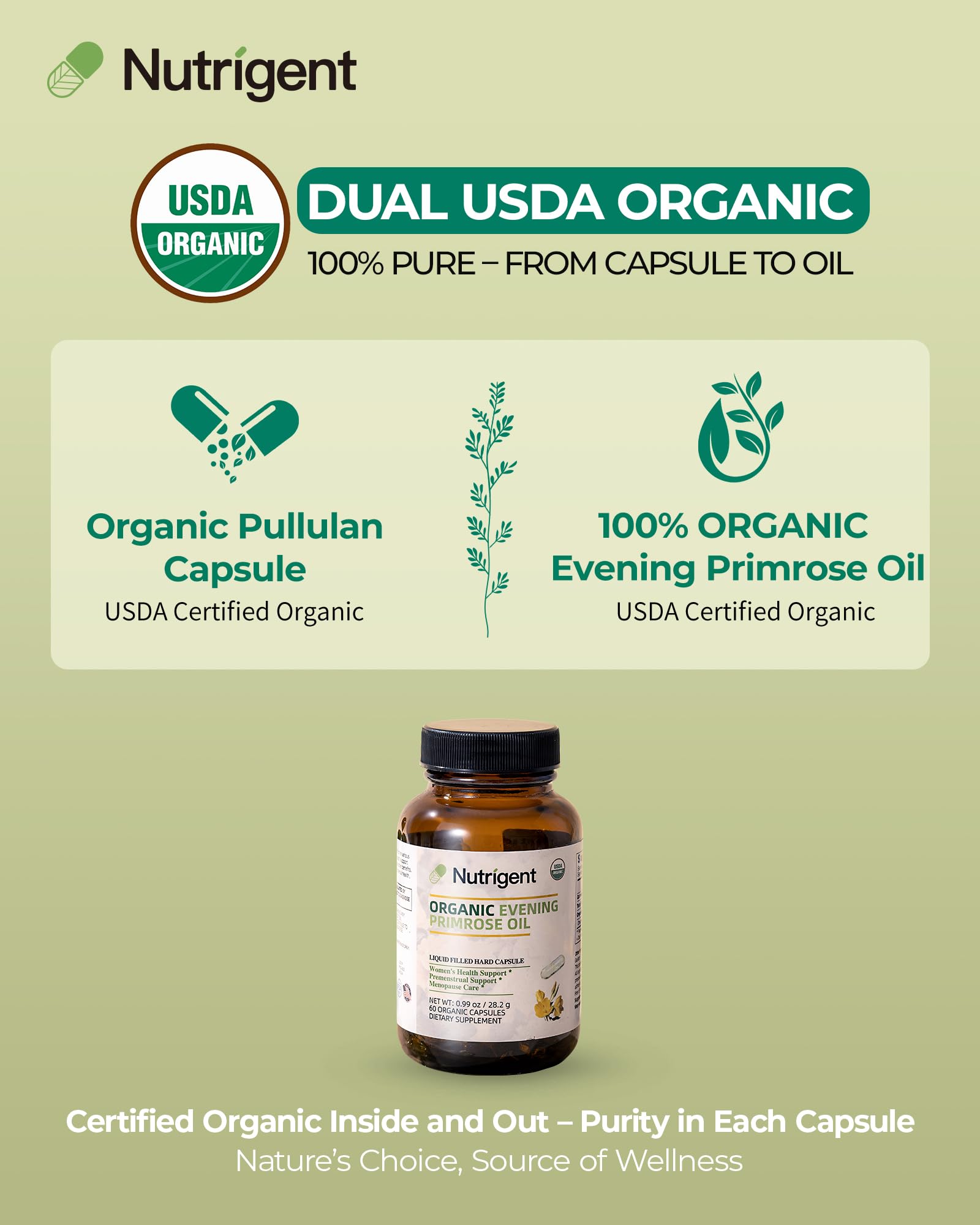 Nutrigent cápsula en mano fácil de tragar ideal para uso diario