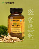 Nutrigent etiqueta con ingredientes orgánicos y dosis claras