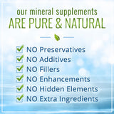 NutriNoche en ambiente de bienestar mostrando integración diaria