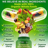 Ingredientes secos Nutrition Restore echinacea, saúco y hongos, origen orgánico visible