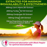 Nutrition Restore textura del extracto de hongos mostrando pureza
