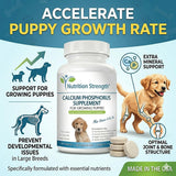 Nutrition Strength comprimido en mano para mostrar tamaño y conveniencia