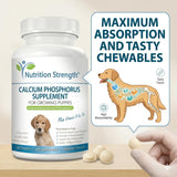 Nutrition Strength comprimidos junto a kibble, complementan la dieta