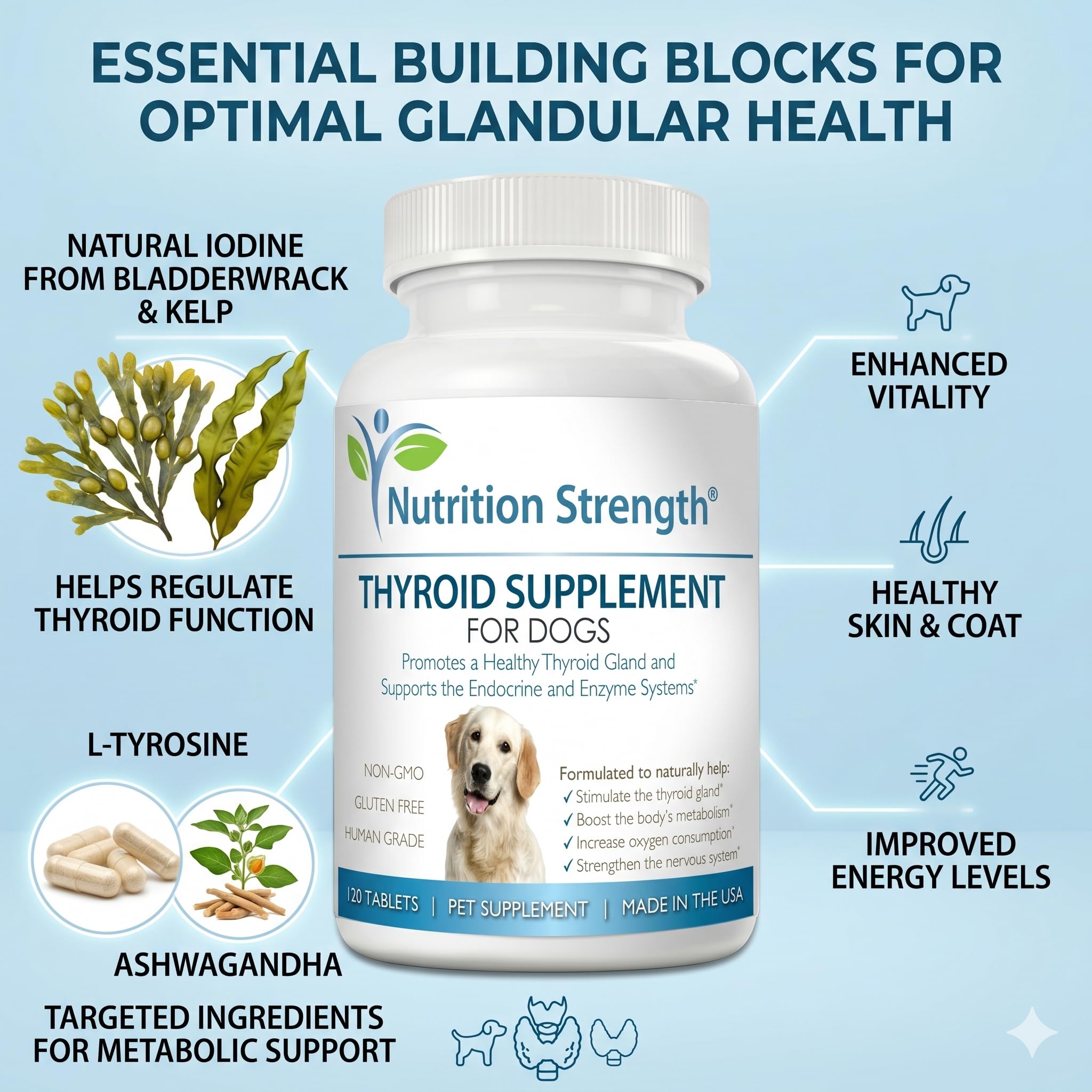 Nutrition Strength envase abierto con 120 masticables para suministro prolongado