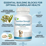 Nutrition Strength envase abierto con 120 masticables para suministro prolongado