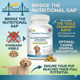 Nutrition Strength etiqueta nutricional que certifica ingredientes de calidad