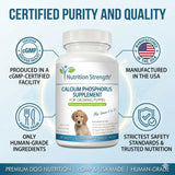 Nutrition Strength perro aceptando comprimido, administración sin estrés