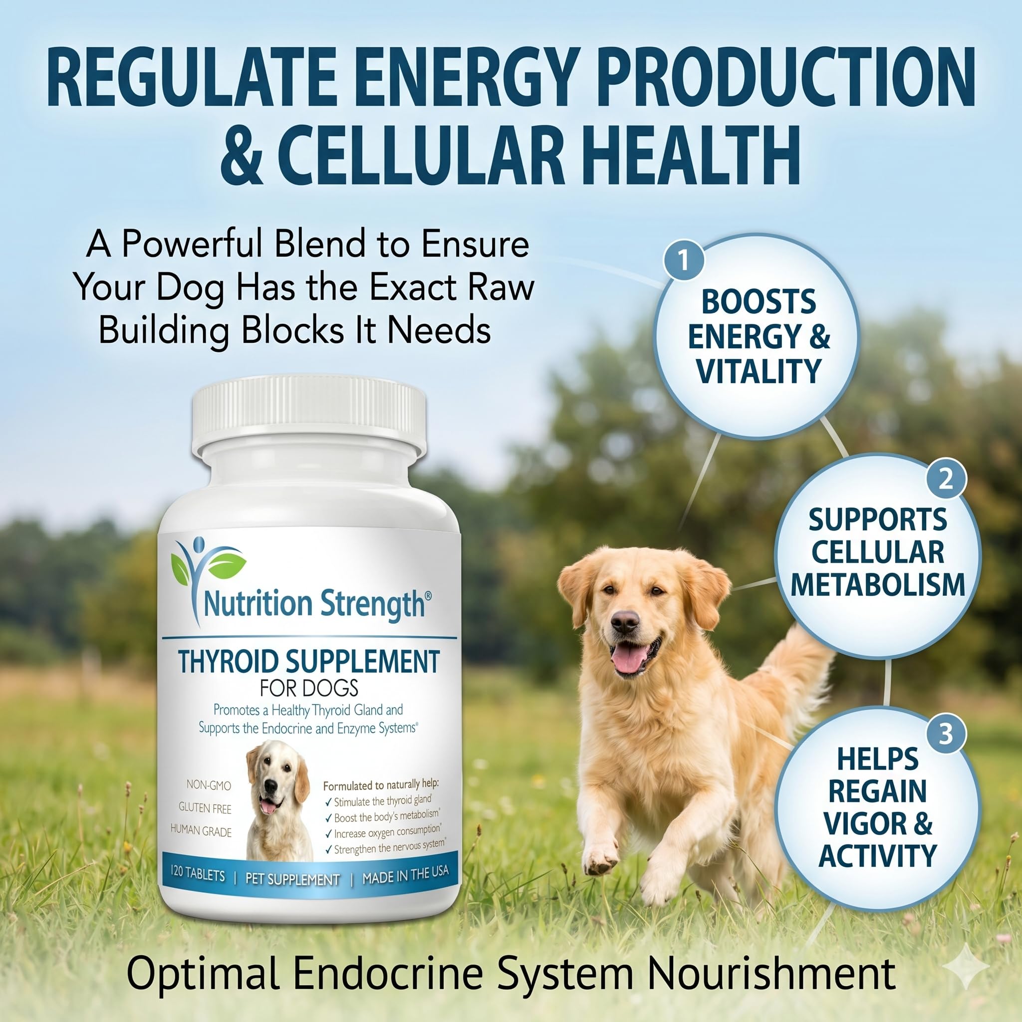 Nutrition Strength textura de la tableta que mejora la aceptación del perro