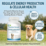 Nutrition Strength textura de la tableta que mejora la aceptación del perro
