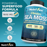 Nutrivein polvo y textura cercana mostrando pureza y proceso limpio