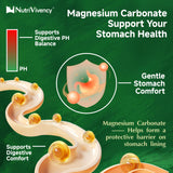 NutriVivency gominola en mano demostrando tamaño y comodidad