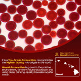 NutriVivency ingredientes clave dispuestos, resaltando mezcla antioxidante del producto