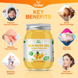 OALSE gel añadido a batido tropical, añade cuerpo y sabor