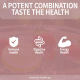 OALSE ingredientes principales como inulina, FOS y probióticos en detalle