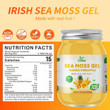 OALSE primer plano de textura del gel, muestra consistencia lisa