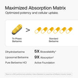 Olenphogy cápsula abierta mostrando liposomas, favorece absorción sostenida
