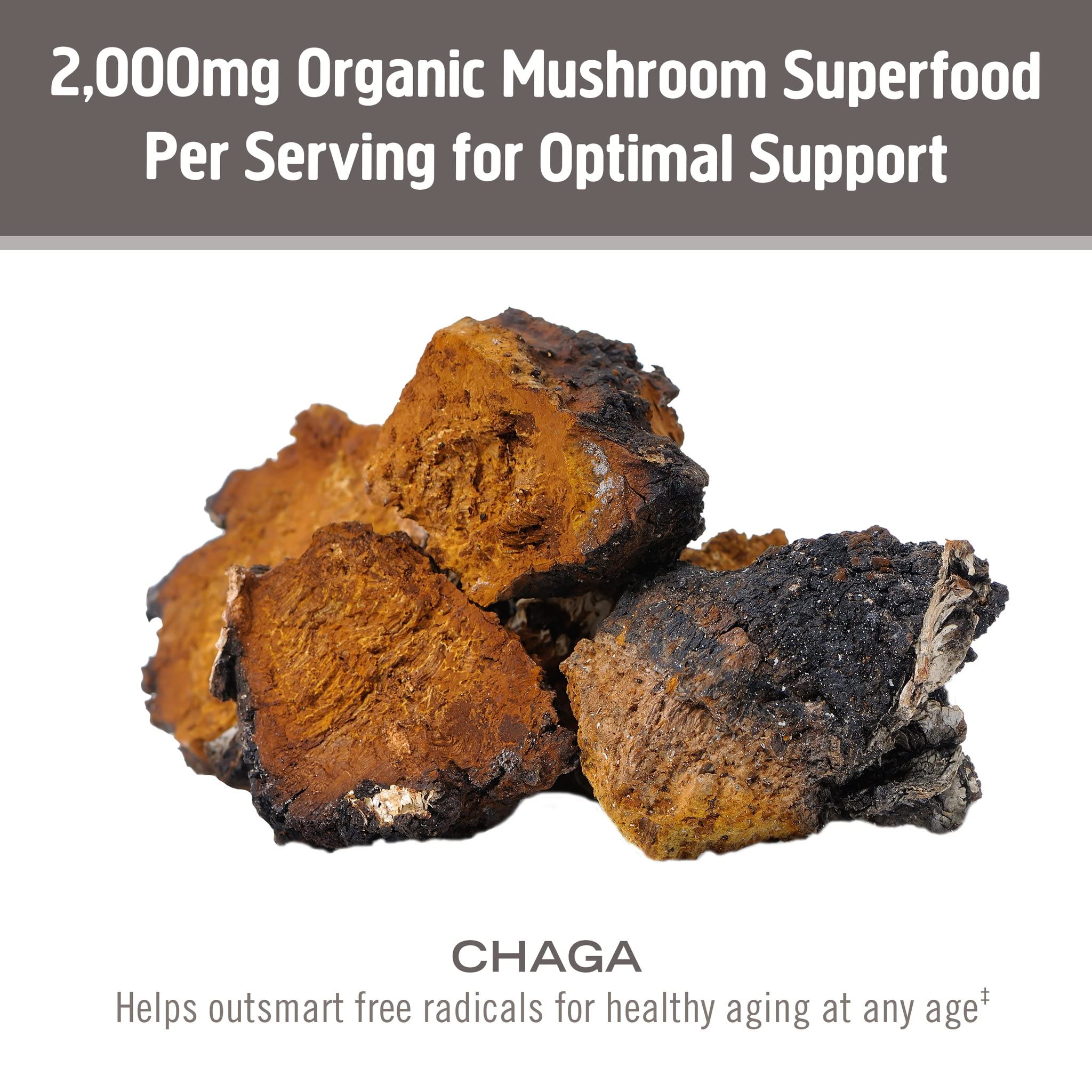 OM MUSHROOM SUPERFOOD etiqueta con lista de ingredientes y certificaciones claras