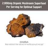 OM MUSHROOM SUPERFOOD etiqueta con lista de ingredientes y certificaciones claras