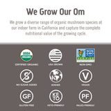 OM MUSHROOM SUPERFOOD mano tomando polvo, fácil dosificación para recetas