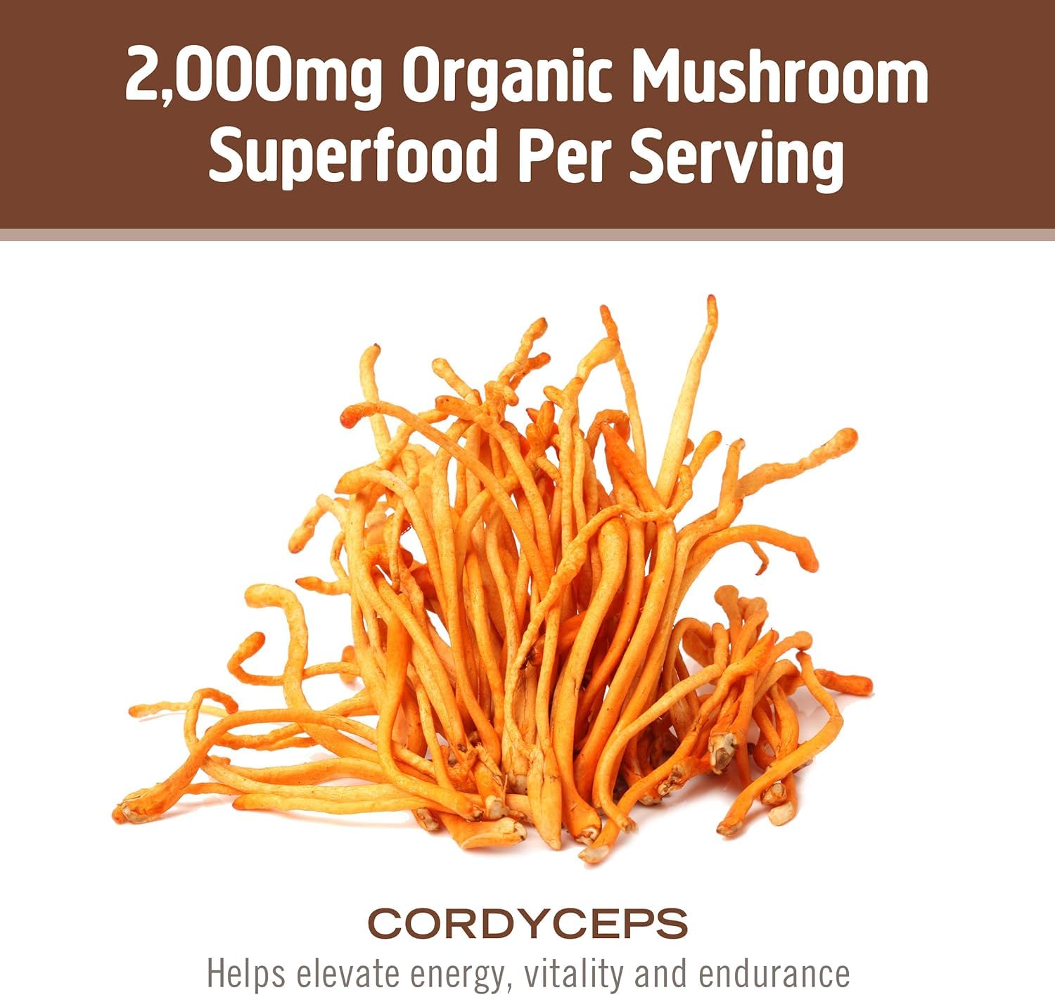 OM MUSHROOM SUPERFOOD producto en cuchara mostrando color y facilidad de uso en recetas