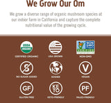 OM MUSHROOM SUPERFOOD persona activa disfrutando suplemento para apoyo en entrenamiento