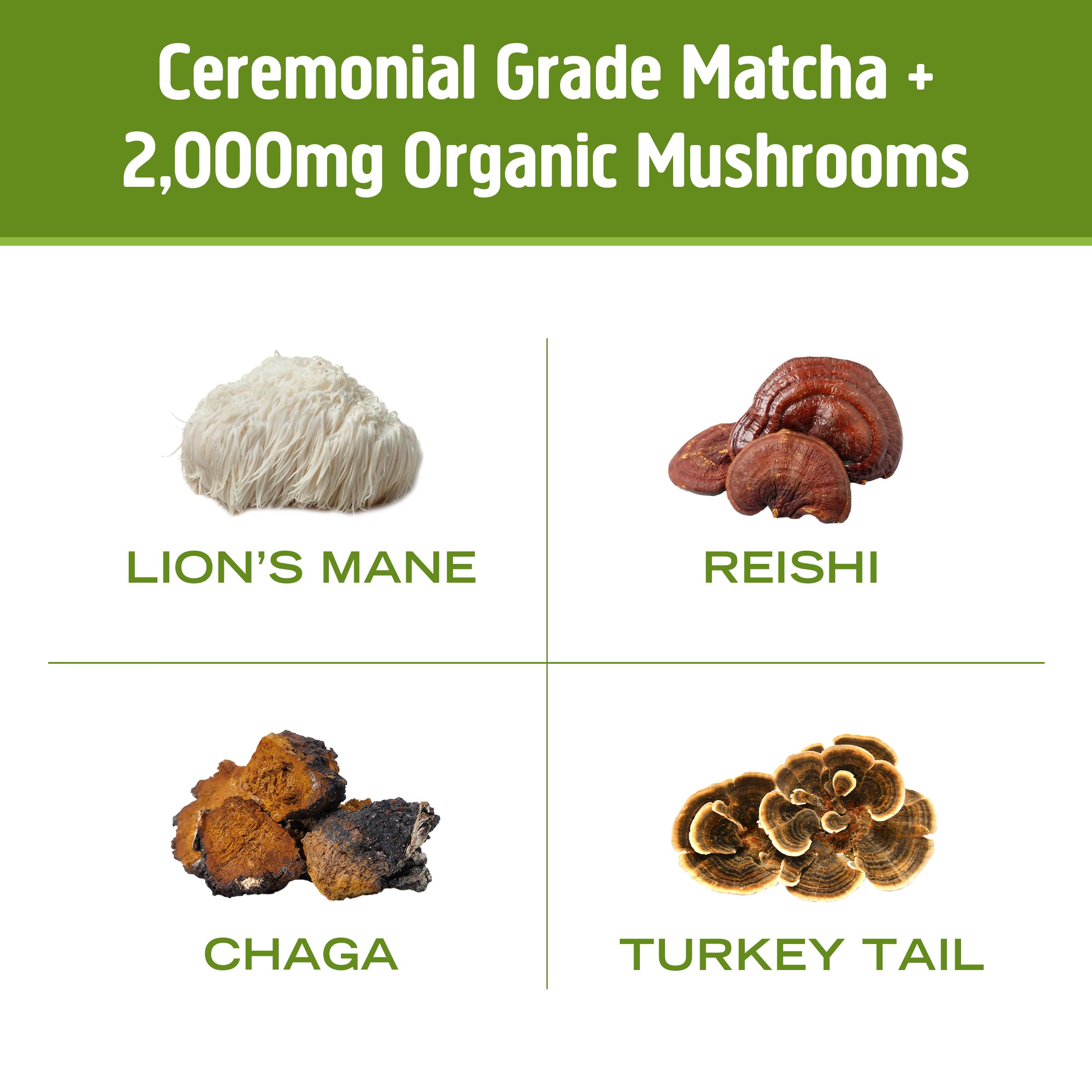 OM MUSHROOM SUPERFOOD comparación de tamaño del sobre para viajar