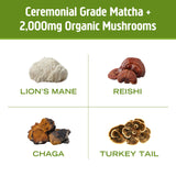OM MUSHROOM SUPERFOOD comparación de tamaño del sobre para viajar
