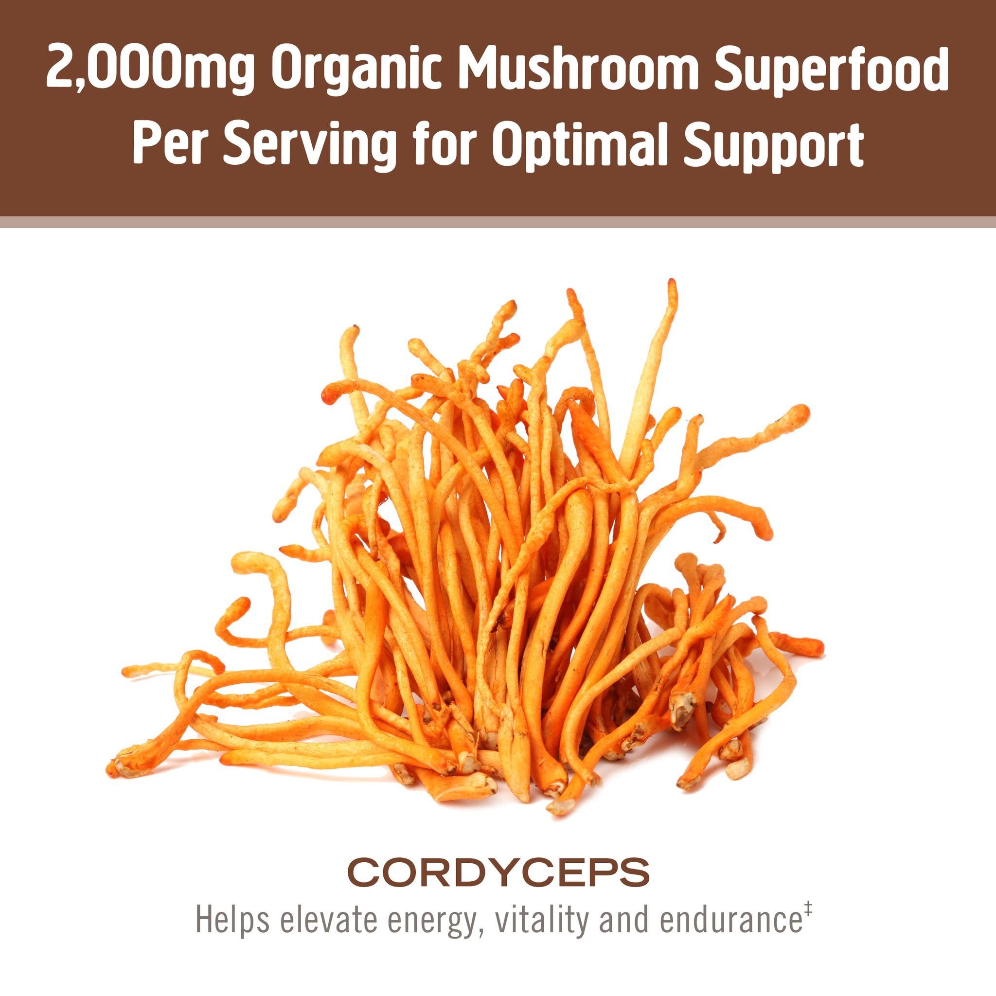 OM MUSHROOM batido con cordyceps, beneficio energía natural para entrenar